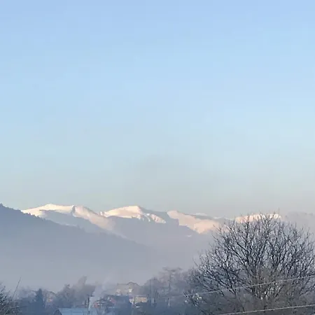 Perlyna